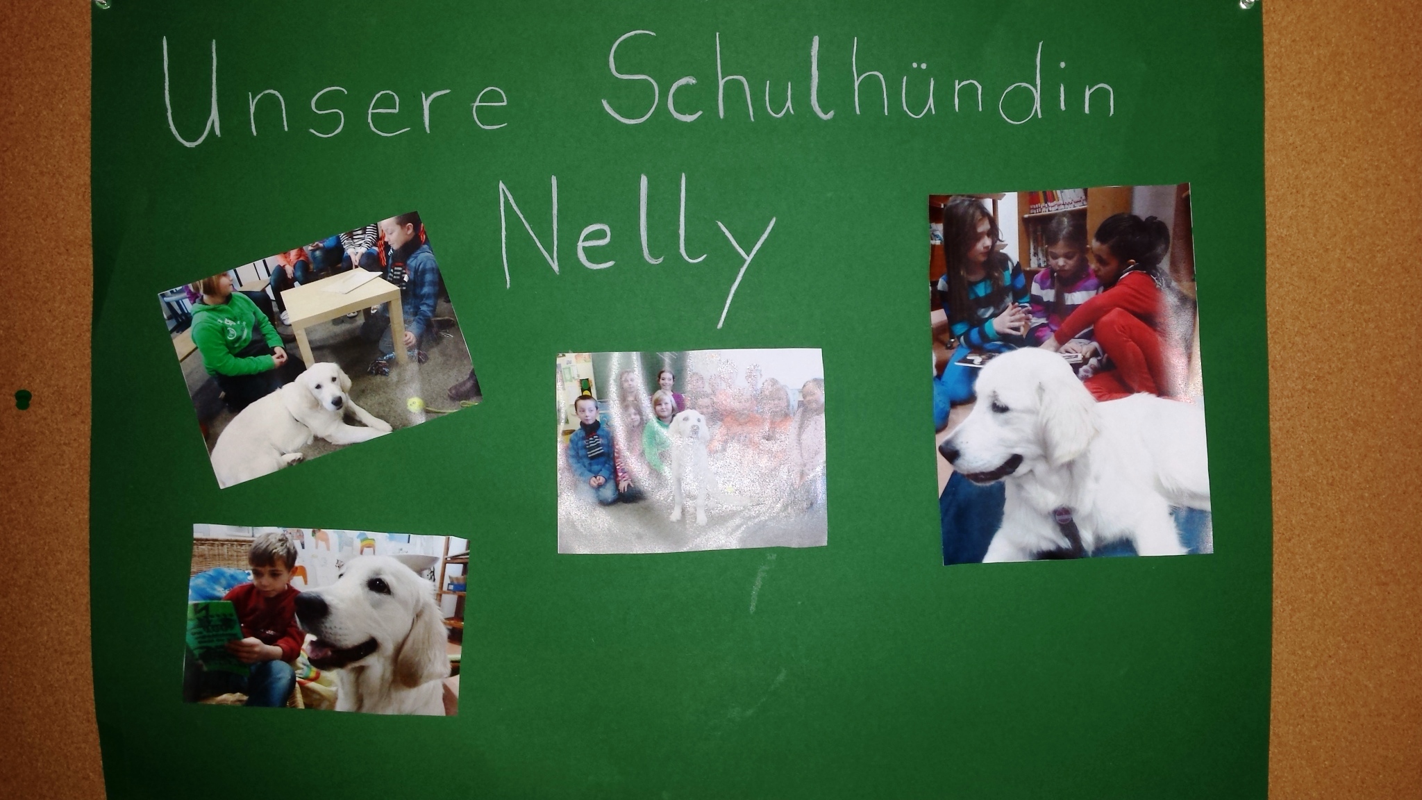 Dokumentation der Schulhospitation an der Grundschule Gießen West am 14.10.2014