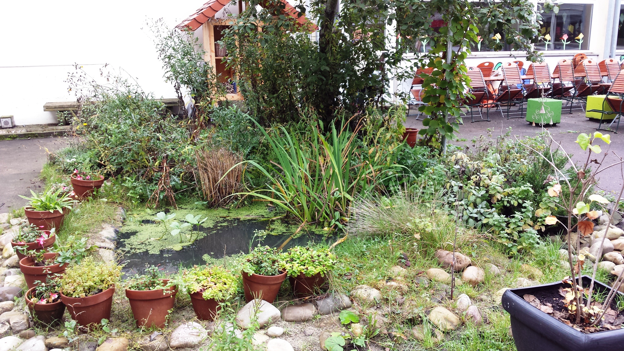 Dokumentation der Schulhospitation an der Grundschule Gießen West am 14.10.2014