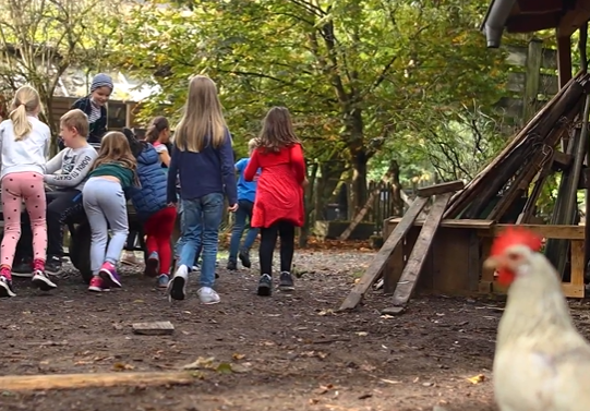 Kinder spielen auf der Jugendfarm
